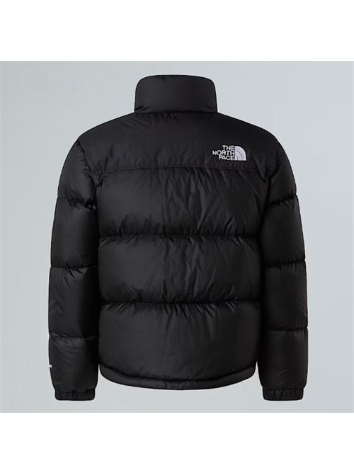  THE NORTH FACE | NF0A8A4CGOG1GOG